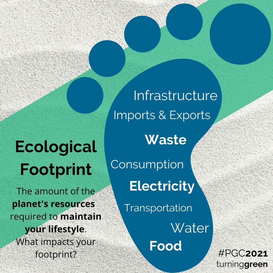 eco footprint البصمة البيئية