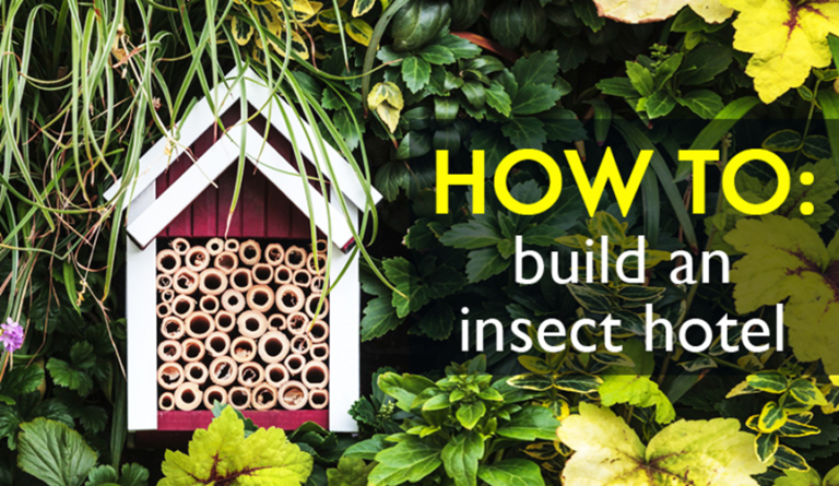 How to build an insect hotel