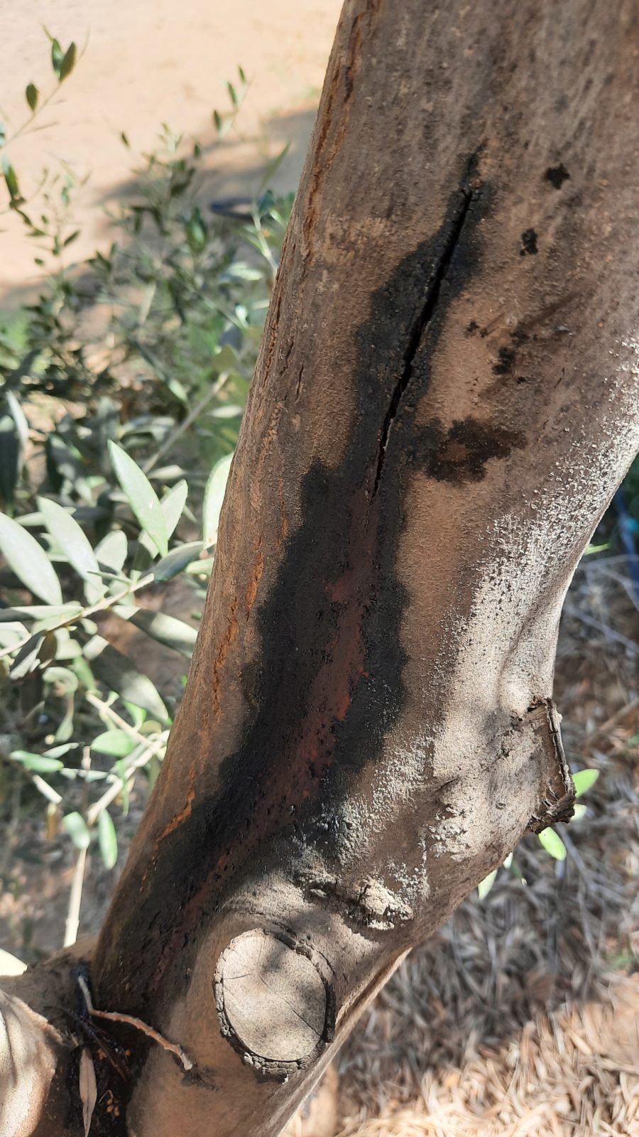 ٢٠٢٢٠٧٢١_٠٨٤٦٤٤